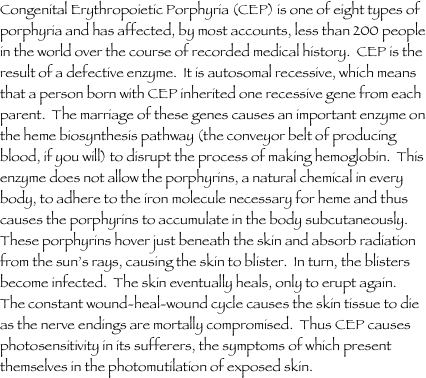 Congenital Erythropoietic Porphyria (CEP) is one of eight types of porphyria and has affected, by most accounts, less than 200 people in the world over the course of recorded medical history.  CEP is the result of a defective enzyme.  It is autosomal recessive, which means that a person born with CEP inherited one recessive gene from each parent.  The marriage of these genes causes an important enzyme on the heme biosynthesis pathway (the conveyor belt of producing blood, if you will) to disrupt the process of making hemoglobin.  This enzyme does not allow the porphyrins, a natural chemical in every body, to adhere to the iron molecule necessary for heme and thus causes the porphyrins to accumulate in the body subcutaneously.  These porphyrins hover just beneath the skin and absorb radiation from the sun’s rays, causing the skin to blister.  In turn, the blisters become infected.  The skin eventually heals, only to erupt again.  The constant wound-heal-wound cycle causes the skin tissue to die as the nerve endings are mortally compromised.  Thus CEP causes photosensitivity in its sufferers, the symptoms of which present themselves in the photomutilation of exposed skin.